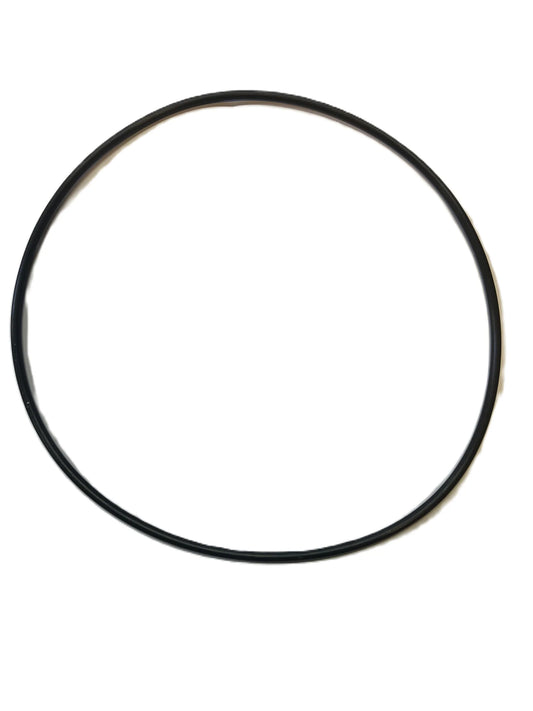 O-ring for INSNRG Ci Cartridge Filter Lid